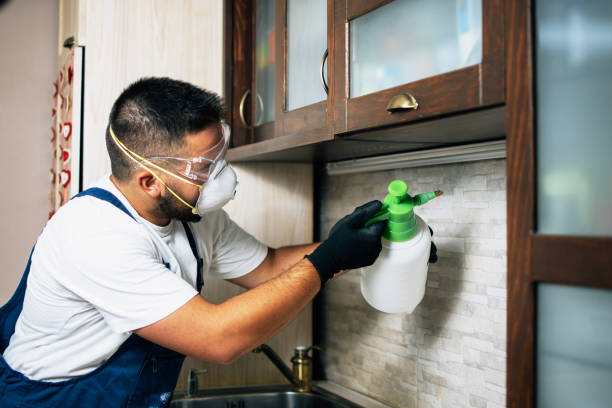Best Termite Control Services  in Waverly, VA