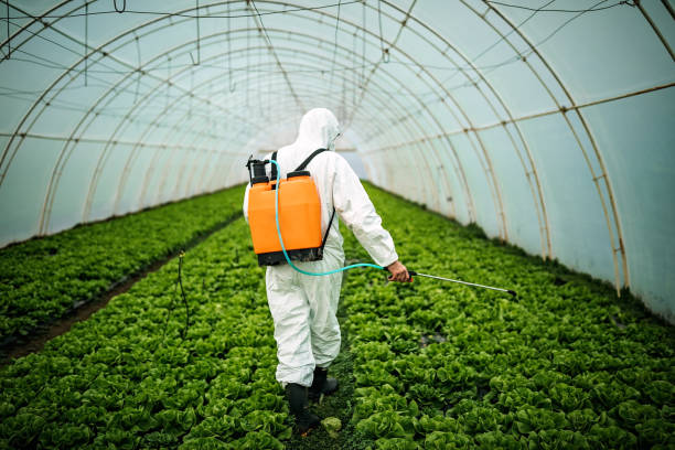 Best Commercial Pest Control Services  in Waverly, VA