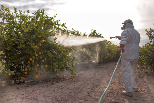 Best Ant Control Services  in Waverly, VA