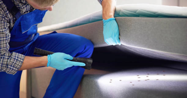 Professional Pest Control in Waverly, VA