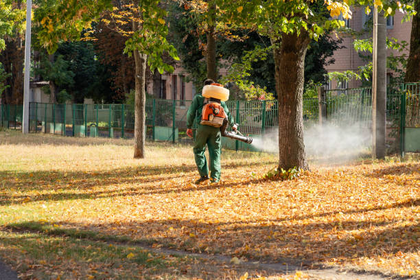 Best Spider Control Near Me  in Waverly, VA