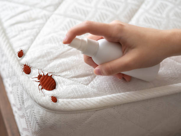 Best Pest Inspection Near Me  in Waverly, VA