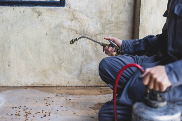 Best Mosquito Control Services  in Waverly, VA